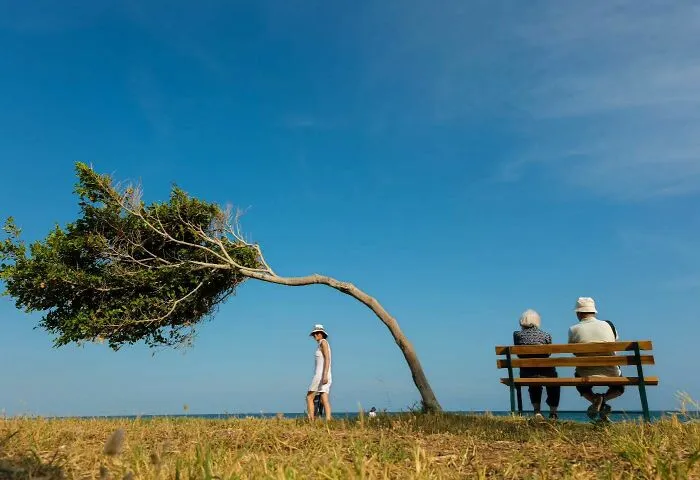 This Photographer Captures Candid Moments Where Timing Is Everything, And Here's The Result (45 Pics)