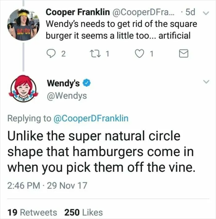 100% Pure Beef
