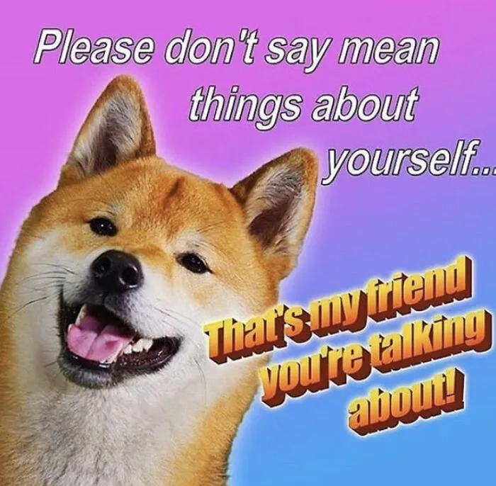 Wholesome Doge