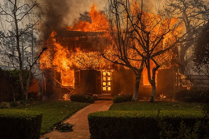 As The World Before Us Burns, 1 By Kristine Vann