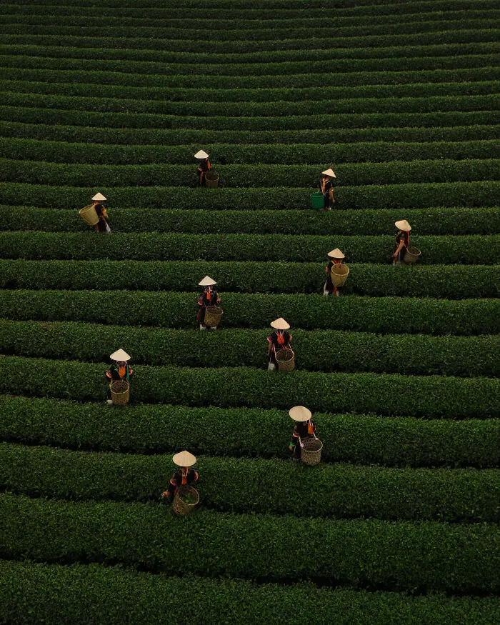 Traditions From Above By Chris Ha