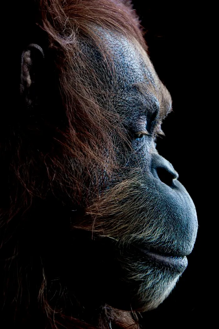 Deep In Thought By Venkatesh Kittur