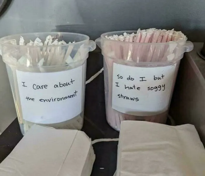 Two containers of plastic straws with handwritten notes about caring for the environment and disliking soggy straws, a funny and bizarre image.
