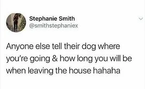 50 Times British Humor Was So On Point, It Deserved A Knighthood