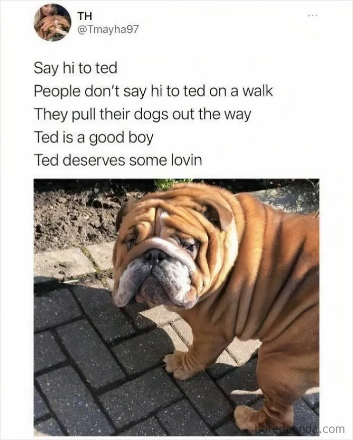 50 Times British Humor Was So On Point, It Deserved A Knighthood