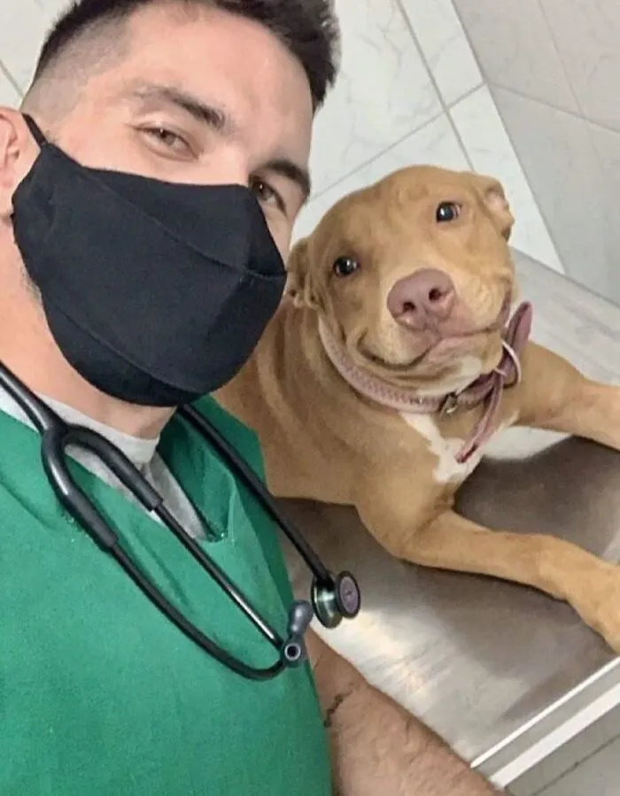 37 Divertidos momentos perrunos que por fortuna fueron captados en cámara