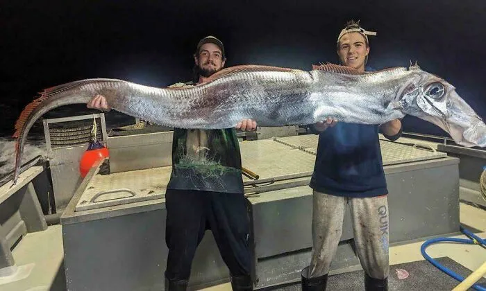 Two Fishermen In Australia Have Caught A Bizarre "Doomsday Fish" That Looks Like A Demonic Horse