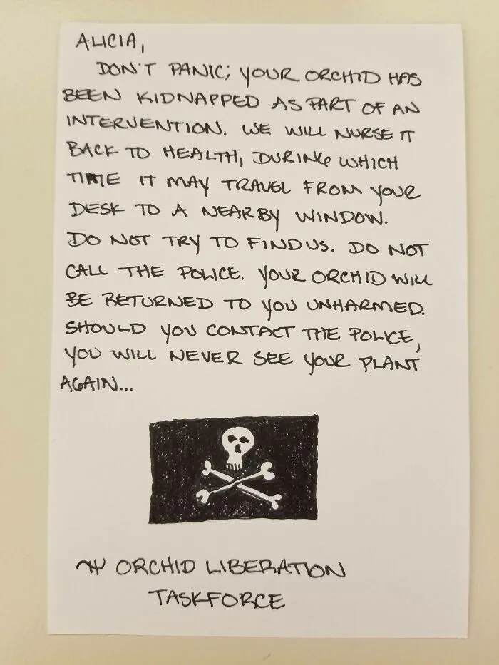 Fuerza de liberación de la orquídea (le dejé esta nota a mi compañera el viernes)