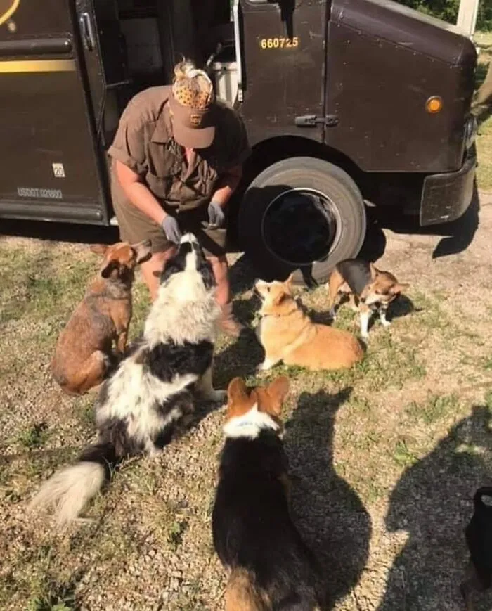 50 Of The Cutest Dogs And Other Pets UPS Drivers Met While On The Job (New Pics)