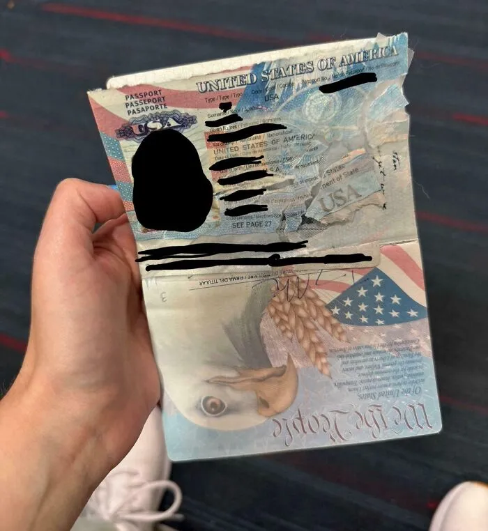 El perro mordió el pasaporte de mi esposa 12 horas antes de nuestro vuelo