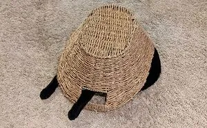 50 Pets Who Thought They Were Ninjas But Ended Up Just Being Derps (New Pics)