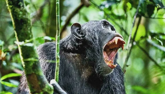 "Still Remains Undiscovered To This Day": 50 Fascinating Facts That Never Stop Surprising