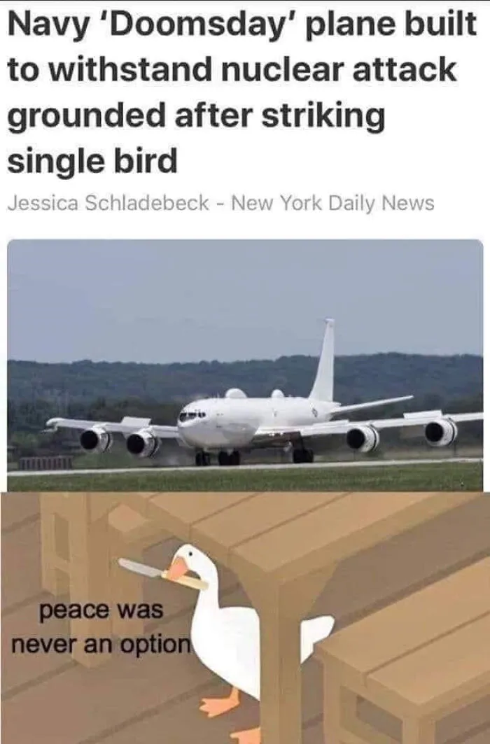 What Bird Brain Designed This Trash?