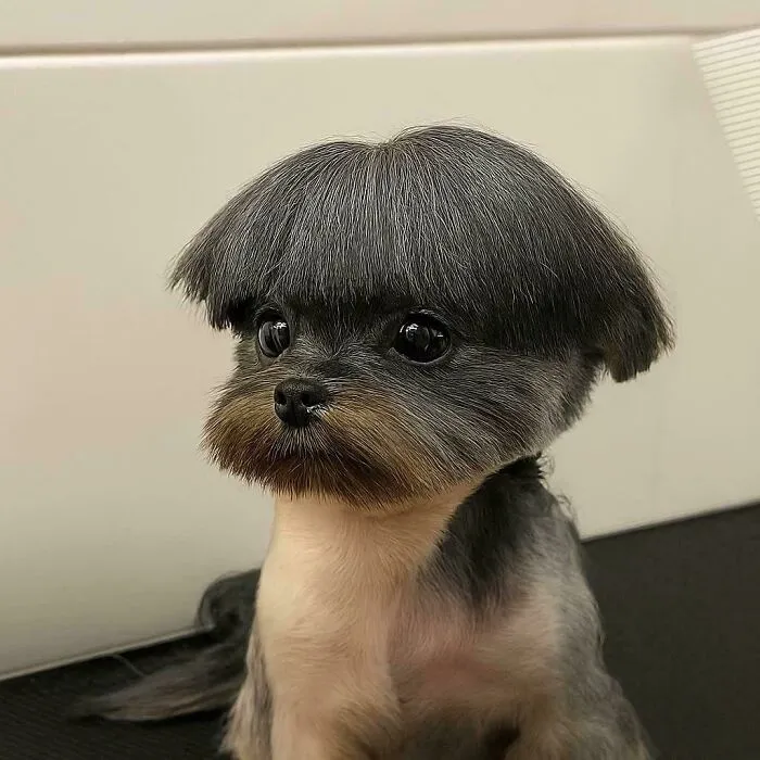 Why They Do Him Like That?