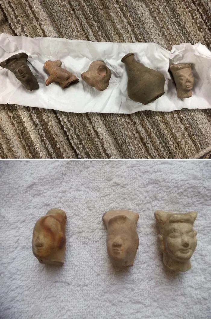 Found In The Yard Of My Old House. Agra, India