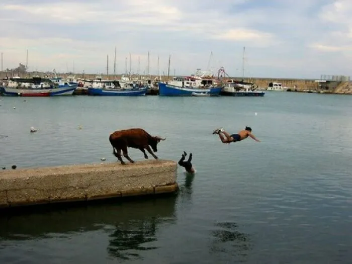Cuando corres por tu vida