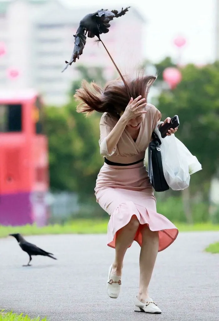 Pájaro tirando del pelo a una mujer