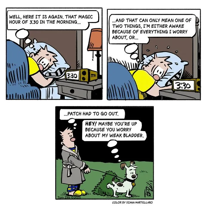 Comic strip showing quirky and funny moments of life including sleeplessness and a dog needing to go out at 3:30 AM.