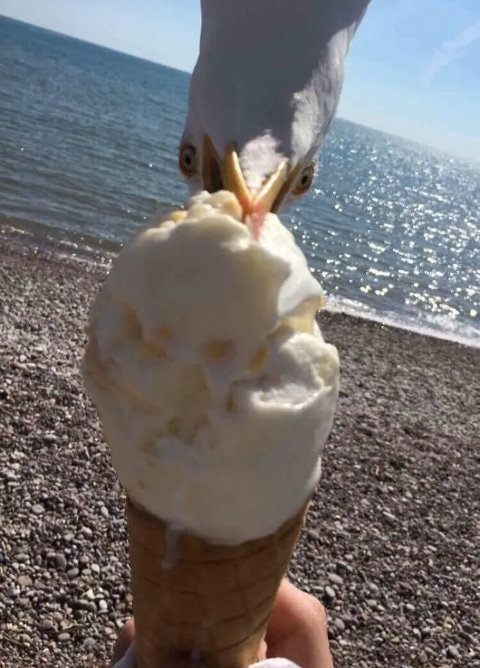 En la playa pasan estas cosas