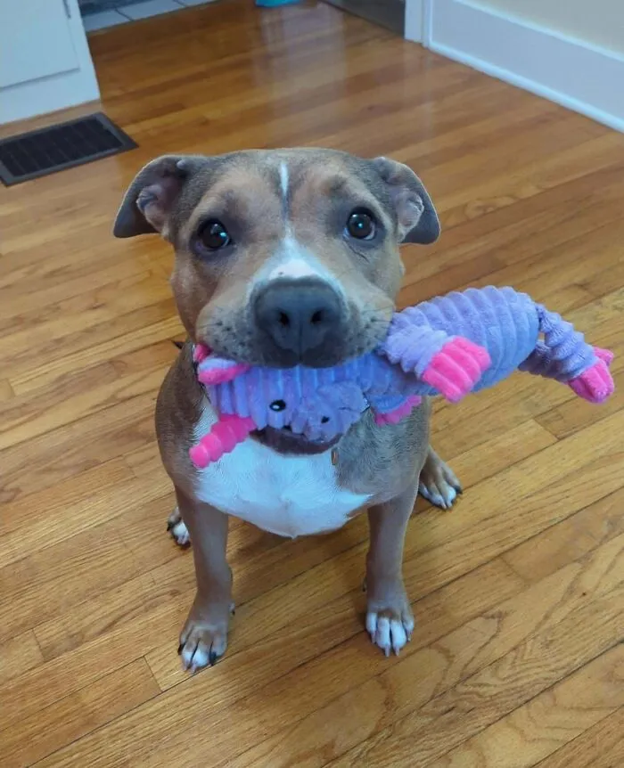 Foster Fail! Meet Karma
