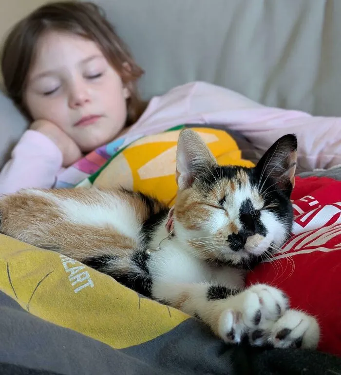 Kiddo Sold Bracelets At The Farmer's Market All Summer So She Could Afford To Adopt A Cat From The Humane Society