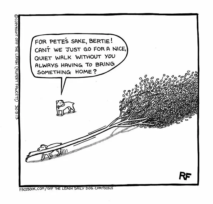 Living With Dogs Summed Up In 32 Comics By “Off The Leash” (New Pics)