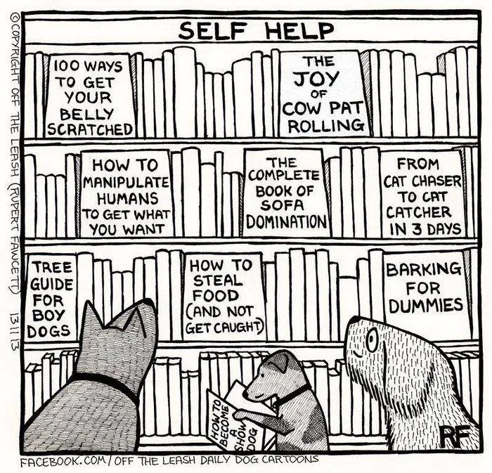 Living With Dogs Summed Up In 32 Comics By “Off The Leash” (New Pics)