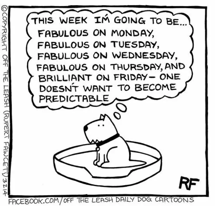 Living With Dogs Summed Up In 32 Comics By “Off The Leash” (New Pics)