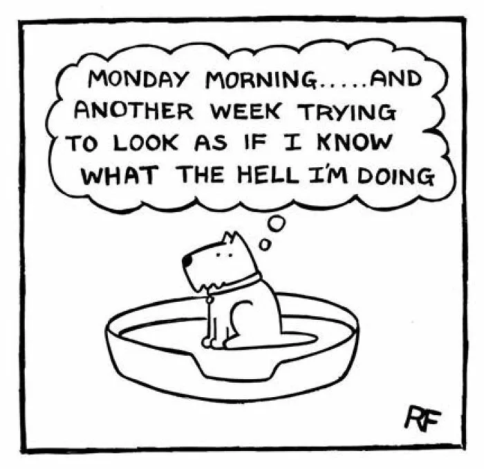 Comic of a dog sitting in its bed with a thought bubble about the chaos and joy of owning a dog.
