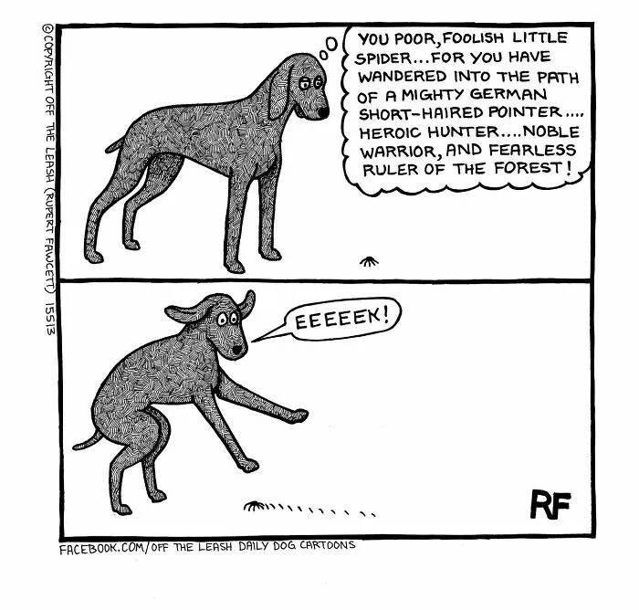 Living With Dogs Summed Up In 32 Comics By “Off The Leash” (New Pics)