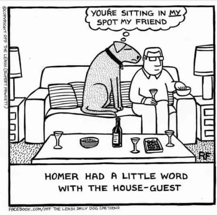 Living With Dogs Summed Up In 32 Comics By “Off The Leash” (New Pics)