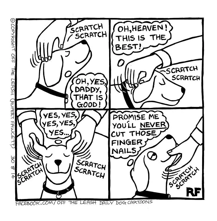 Living With Dogs Summed Up In 32 Comics By “Off The Leash” (New Pics)