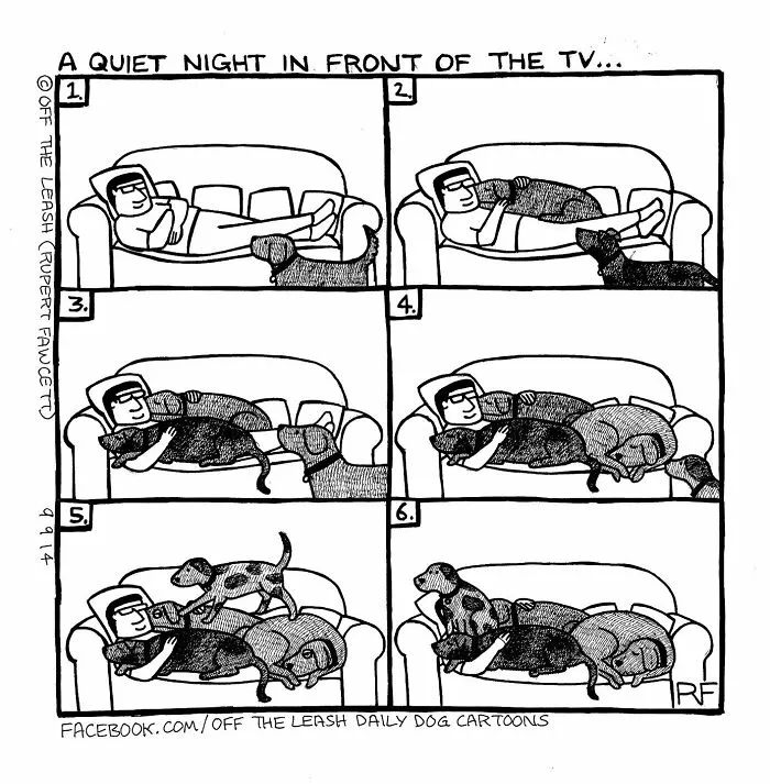 Living With Dogs Summed Up In 32 Comics By “Off The Leash” (New Pics)