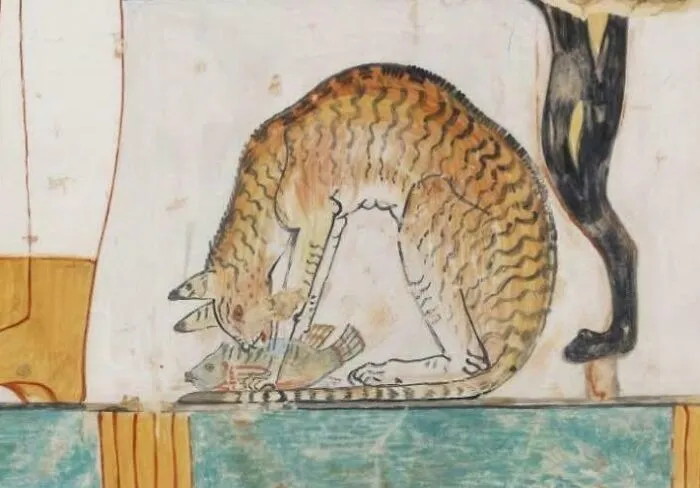 El primer gato con nombre fue un gato egipcio llamado Nedjem, que significa "Cariño", y que vivió durante el reinado de Tutmosis III (1479-1425 a. C.).