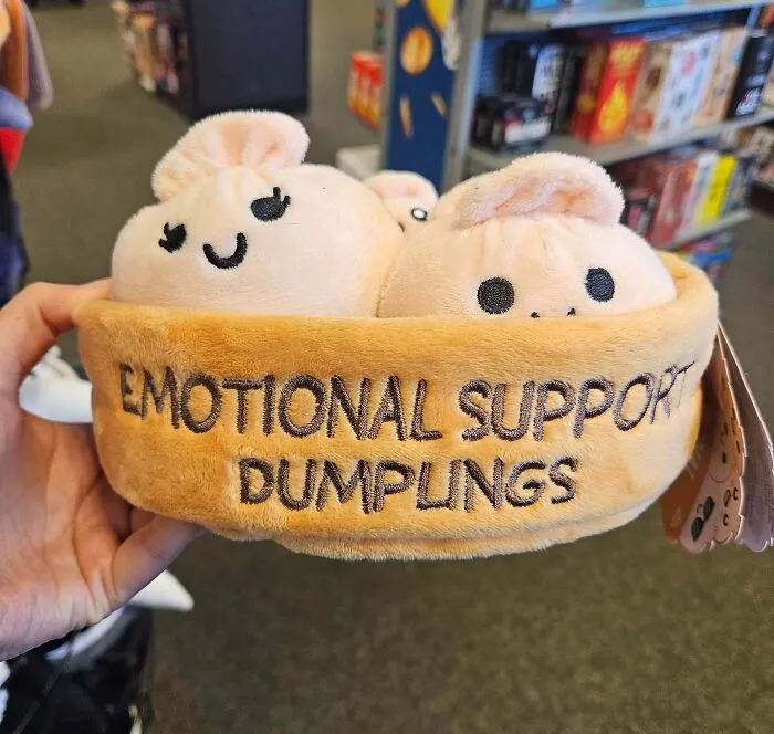 Emotional Support Dumplings