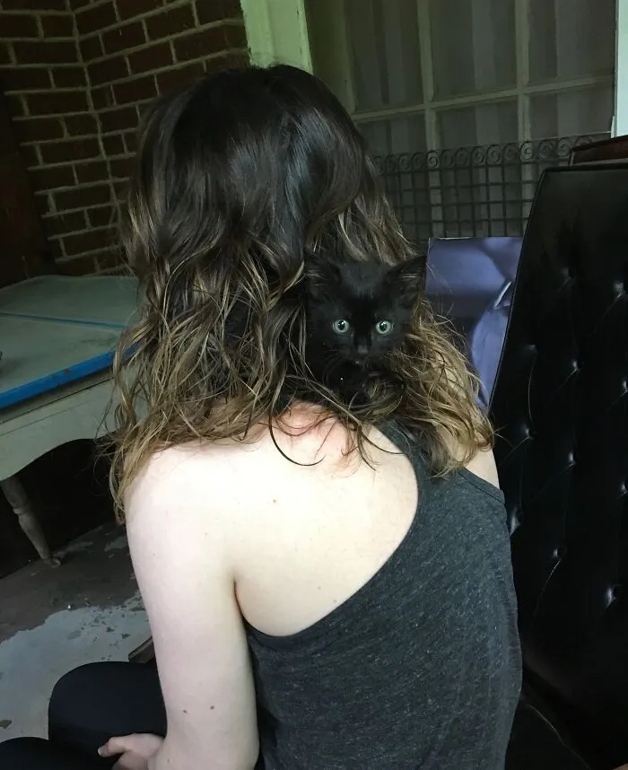 Found This Little Guy Today. He Felt Safe Hiding In My Girlfriend's Hair