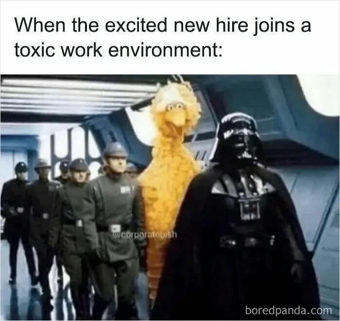 50 Funny Memes To Scroll Through If You Need A Break From Grinding