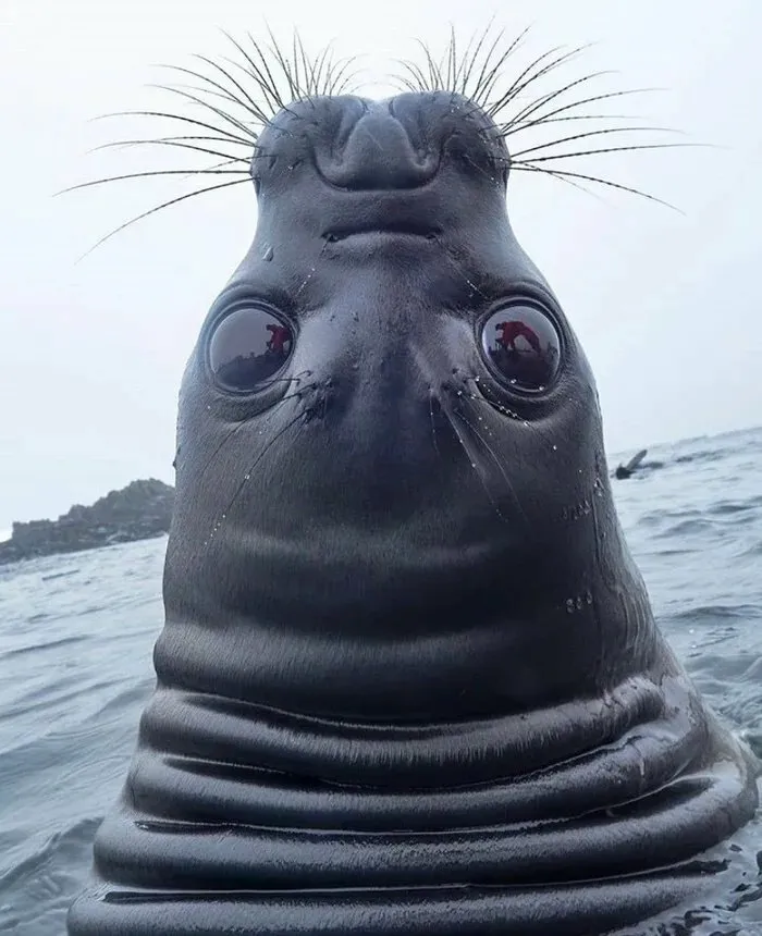 Hey, How Are You?