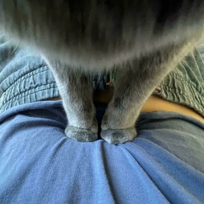 How Is She Able To Apply The Force Of A Thousand Mac Trucks Through These Tiny Little Peets?