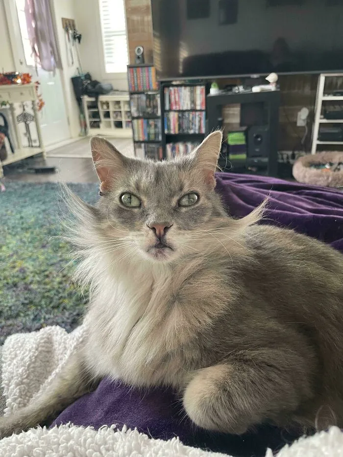 He May Be An Alien But He’s A *fancy* Alien