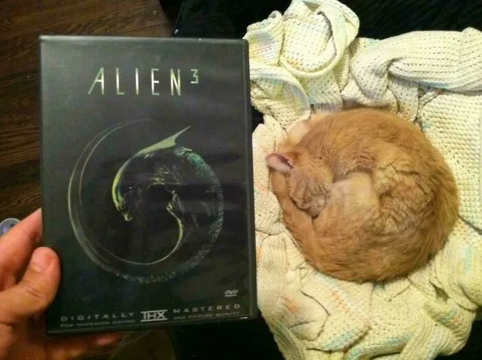 The Perfect Organism