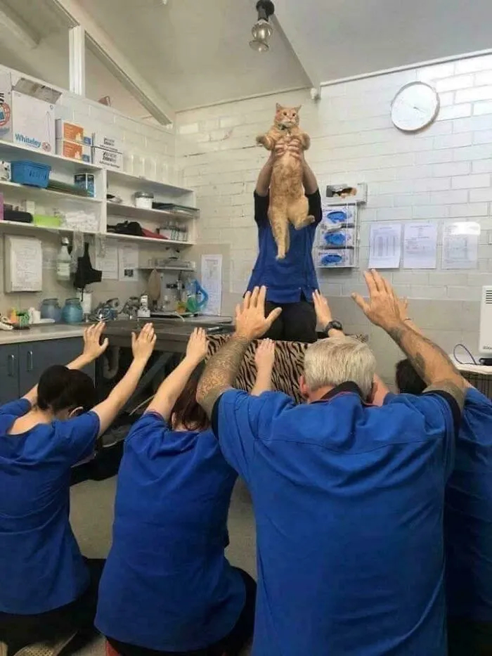 Alien Worship!