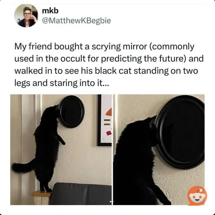 We Don't See What They See