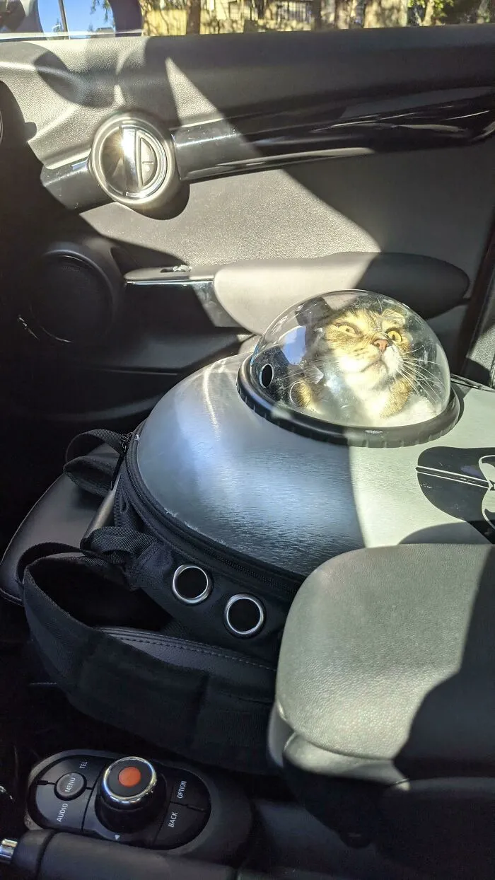 Cat inside a futuristic space capsule carrier, sitting in a car seat with sunlight casting shadows around.