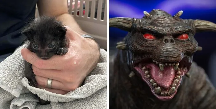 There Is No Daisy, Only Zuul