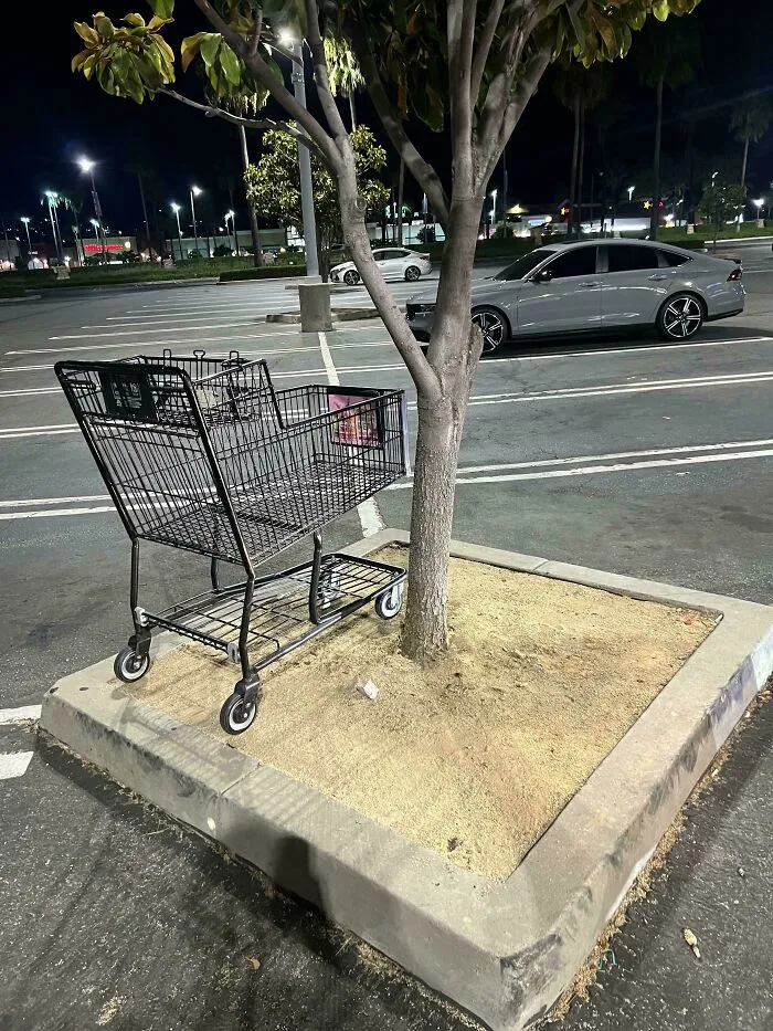Carrito de supermercado abandonado sobre tierra cerca de árbol en estacionamiento vacío, ejemplo de gente actuando mal y siendo expuesta.