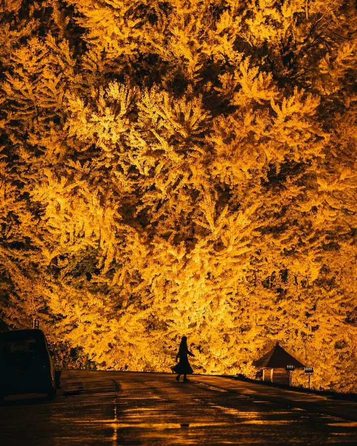 Aomori, Japan
