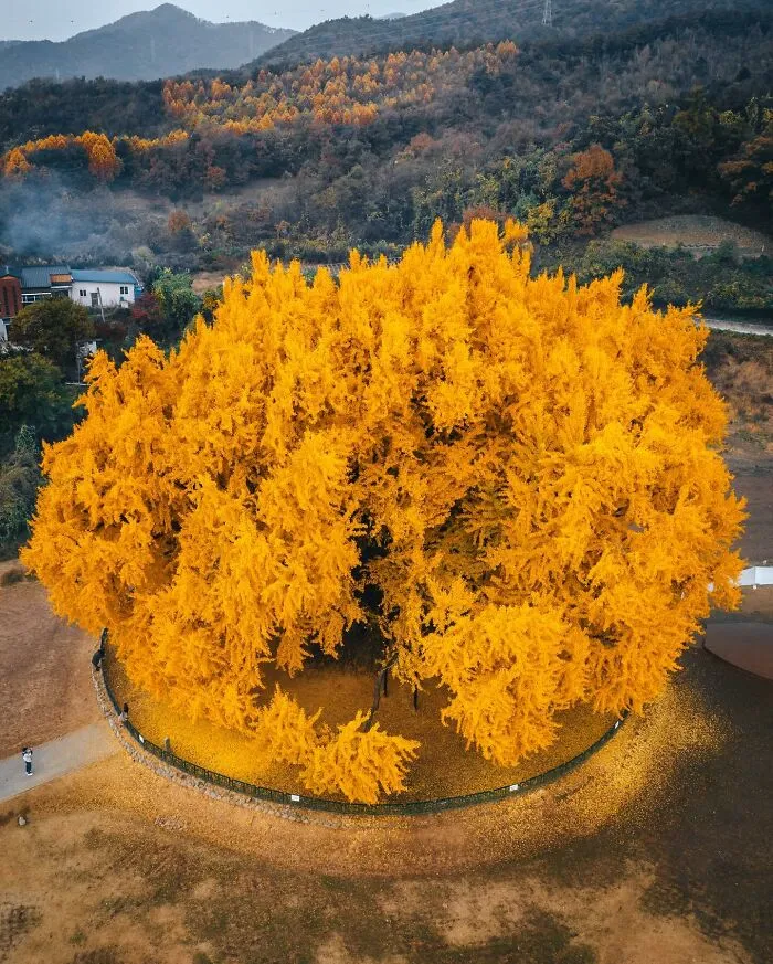 South Korea