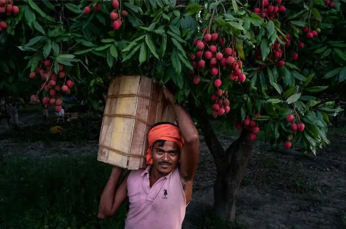 50 Photos By Navin Kumar Vatsa That Bring India’s Streets To Life