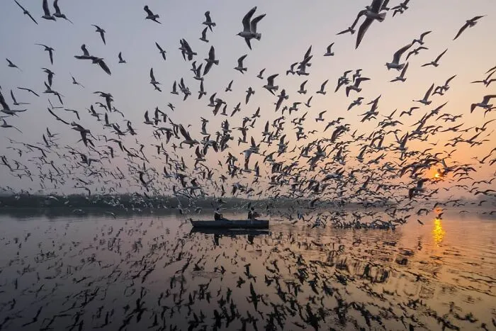 50 Photos By Navin Kumar Vatsa That Bring India’s Streets To Life